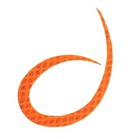 シリコンネクタイ カーリー